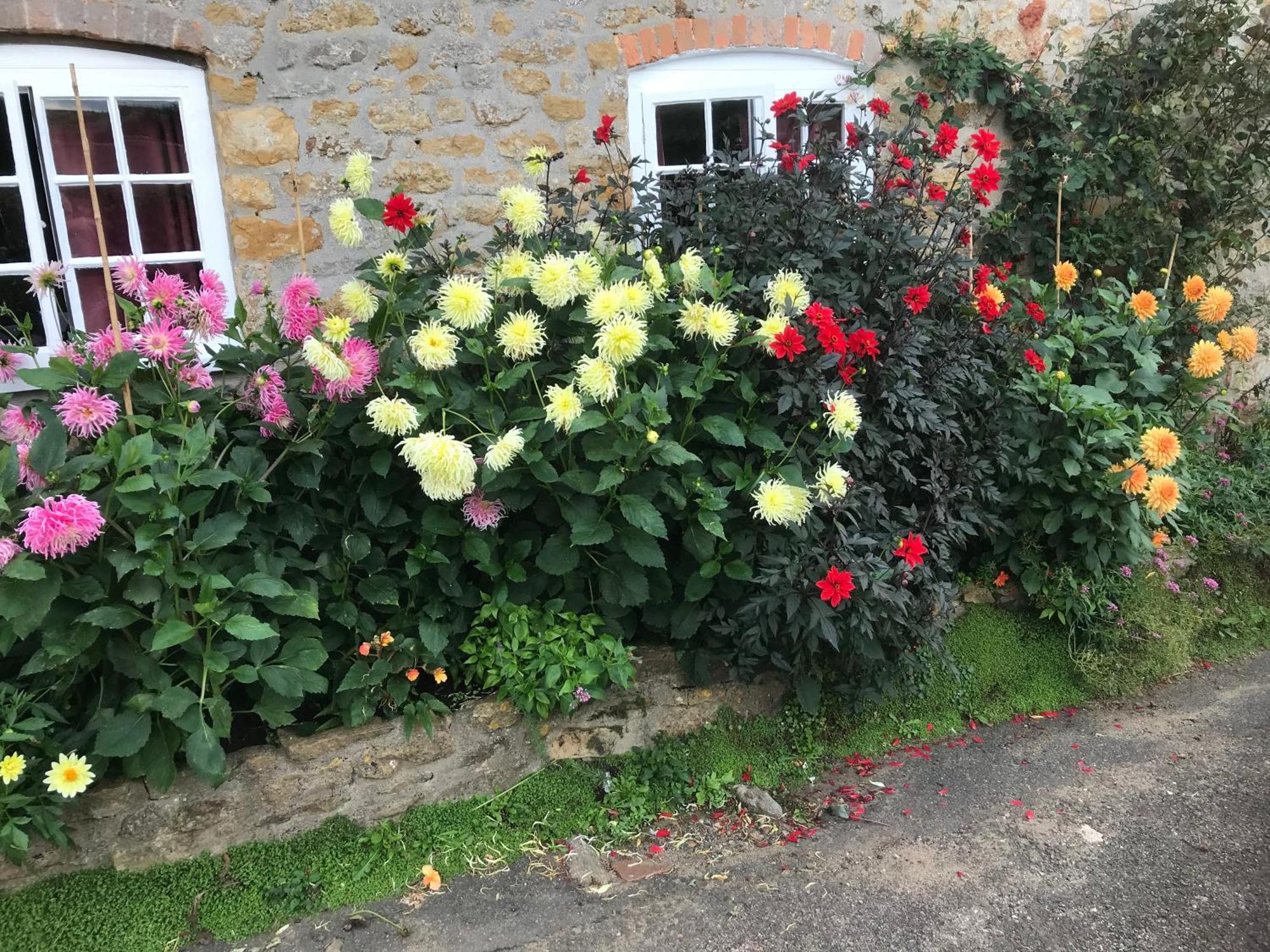The Cottage 애보츠버리 외부 사진