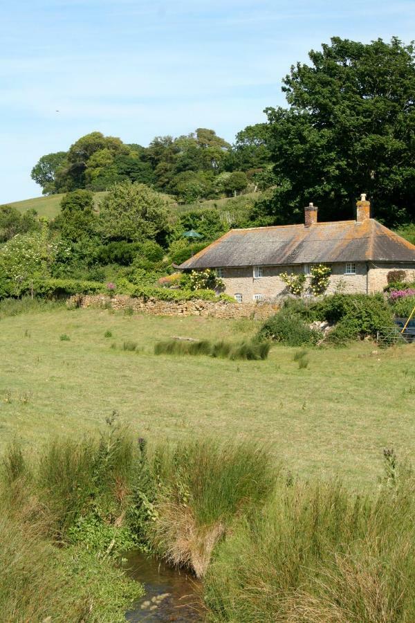 The Cottage 애보츠버리 외부 사진