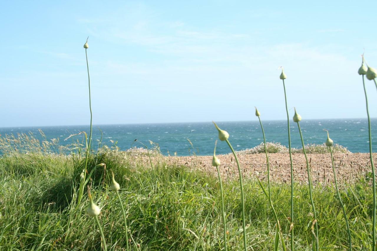 The Cottage 애보츠버리 외부 사진